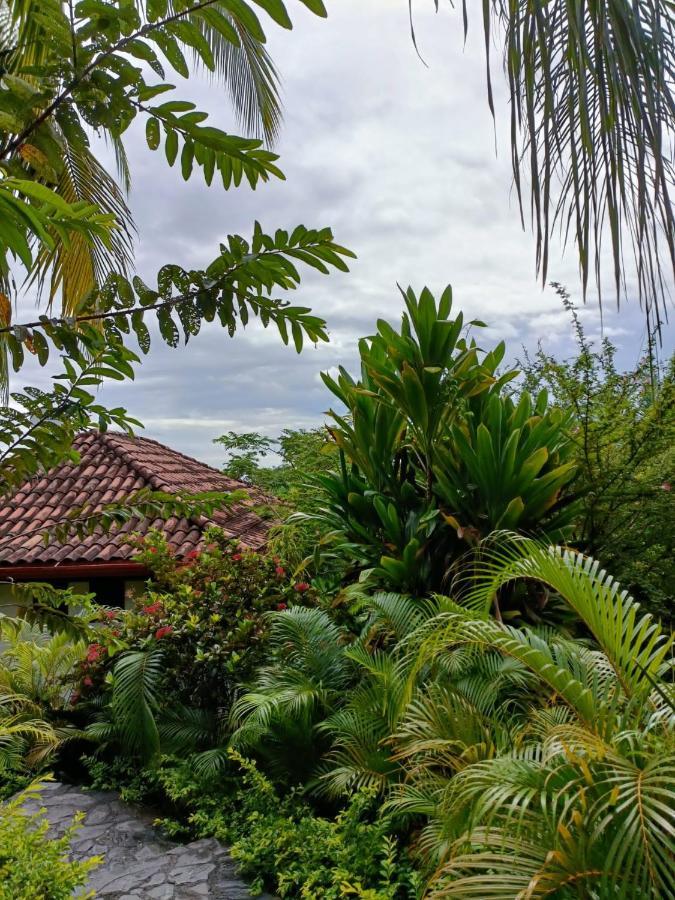 Finca Los Caballos Montezuma Buitenkant foto