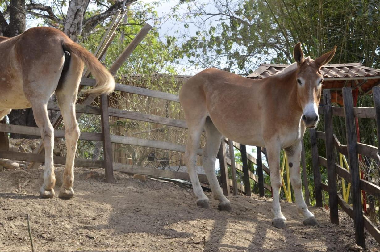 Finca Los Caballos Montezuma Buitenkant foto